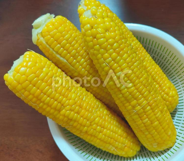 茹でとうもろこし とうもろこし,茹でとうもろこし,コーンの写真素材