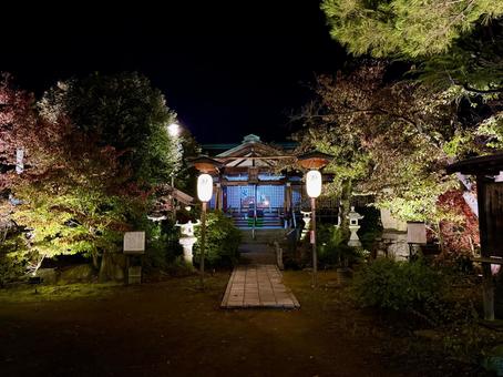 秋　ライトアップされる舟津温泉薬師堂 自然,舟津温泉薬師,モミジの写真素材