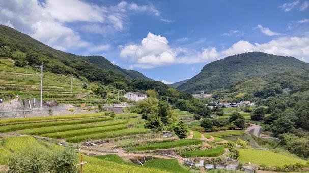 青空に映える棚田風景 青空に映える棚田風景 小豆島,棚田,田園風景の写真素材