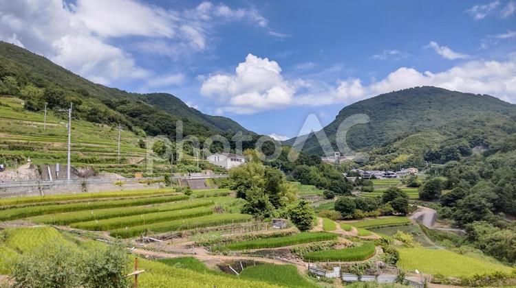 青空に映える棚田風景 小豆島,棚田,田園風景の写真素材