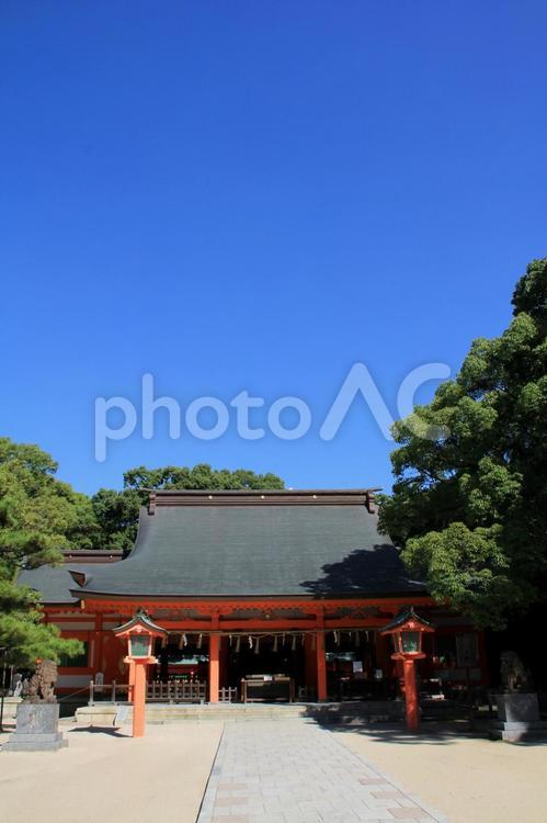 福岡市の住吉神社本殿 住吉神社,福岡市,博多区の写真素材