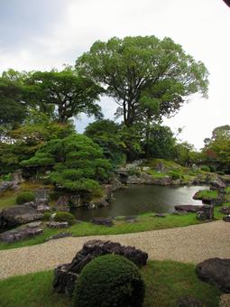 京都府-醍醐寺-三宝院-庭園 京都府-醍醐寺-三宝院-庭園の写真