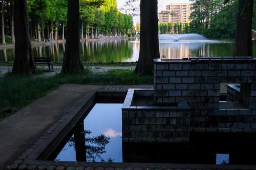 別所沼公園の風景 別所沼公園,公園,森林の写真素材
