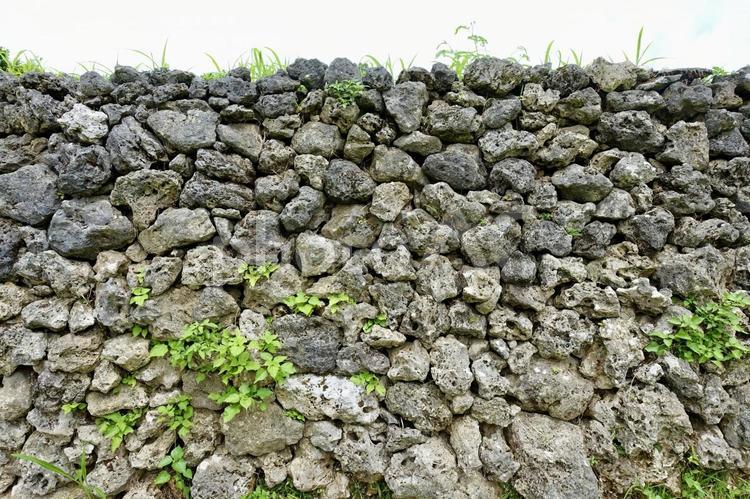 古い石垣　石垣島フルスト原遺跡　沖縄	 古い,石垣,壁の写真素材