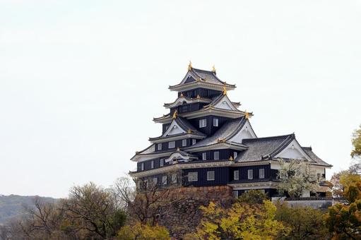 岡山城 岡山城,城,お城の写真素材