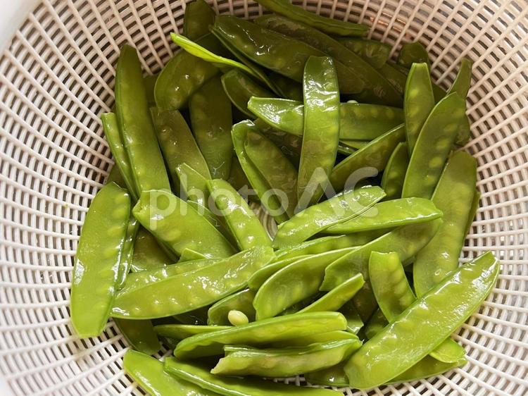 茹でたて新鮮な「さやえんどう」 さやえんどう,えんどう豆,豆の写真素材