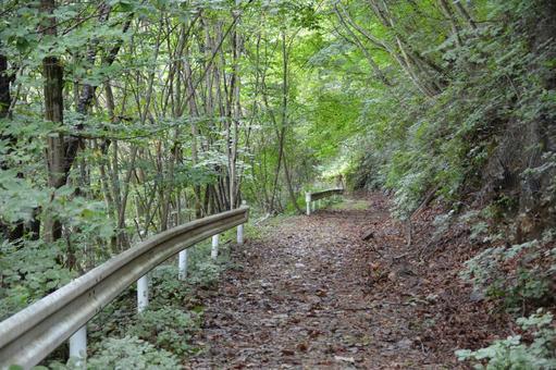 荒れた林道 林道,山道,道の写真素材