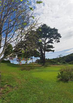 やくらいガーデン⑮ やくらいガーデン⑮ 青空,雲,秋の写真素材