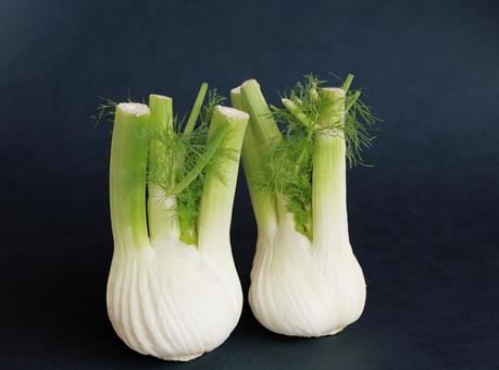 ウイキョウ フェンネル イタリア野菜 野菜,原材料,フヌイユの写真素材