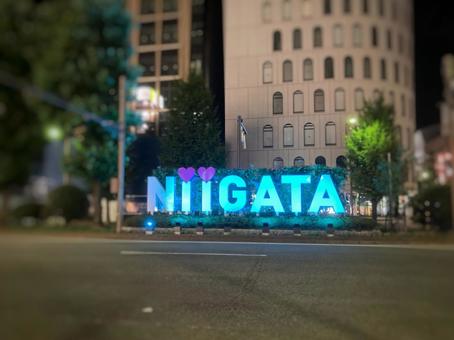 新潟のシンボルサイン・夜の光景 新潟のシンボルサイン・夜の光景 新潟,新潟駅,夜景の写真素材