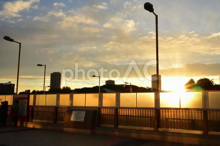 夕方の上野駅から　 夕方,夕刻,日暮れの写真素材