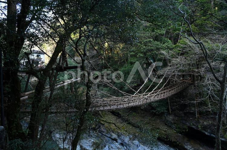 徳島県　祖谷　かずら橋 徳島県,祖谷,かずら橋の写真素材
