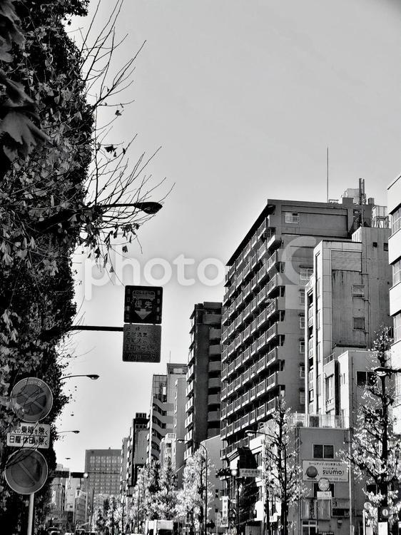 本郷通の家並み　モノクロ 本郷通,文京区,家並みの写真素材