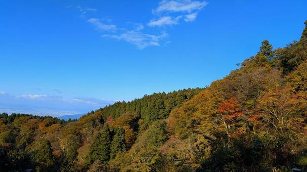 秋の山の紅葉16 紅葉,山,秋の写真素材