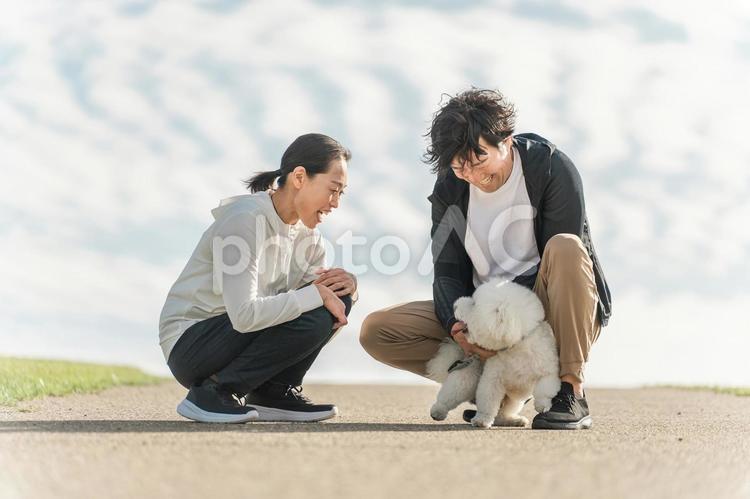 公園で犬の散歩をする愛犬家の夫婦・家族 愛犬家,犬,夫婦の写真素材
