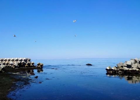 The blue sea and tetrapods of Hokkaido in midsummer, JPG