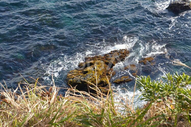 城ヶ島の荒波に打たれる岩 城ヶ島,海,風景の写真素材