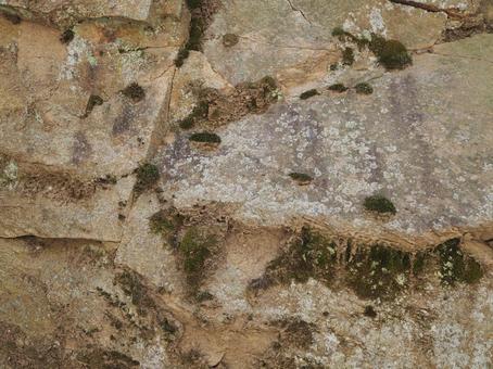 テクスチャ:苔の生えた岩肌背景 テクスチャ:苔の生えた岩肌背景の写真