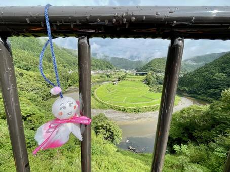 和歌山 あらぎ島とてるてる坊主 和歌山 あらぎ島とてるてる坊主 あらぎ島,棚田,田んぼの写真素材