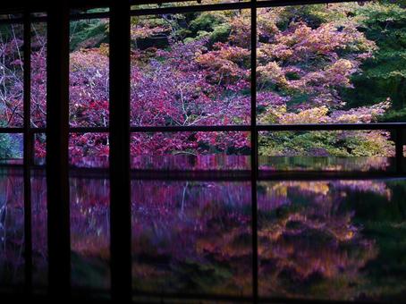 京都・瑠璃光院 紅葉は机の上の水鏡に 京都・瑠璃光院 紅葉は机の上の水鏡に 京都,瑠璃光院,紅葉の写真素材