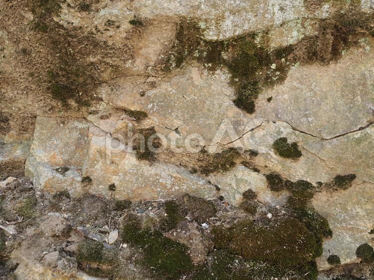 テクスチャ：苔の生えた岩肌背景 苔,岩,岩肌の写真素材