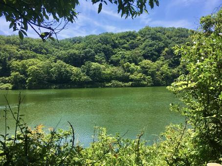 木々の間から見える貯水池 貯水池,ダム湖,池の写真素材