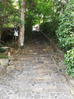 鈴虫寺への階段 鈴虫寺への階段の写真