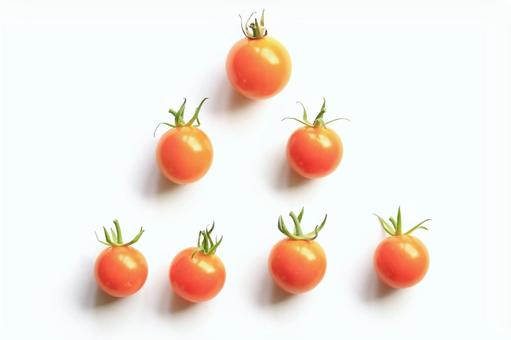 ミニトマト ミニトマトの写真