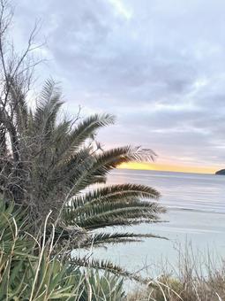 海辺 海辺 朝日,太陽,海の写真素材