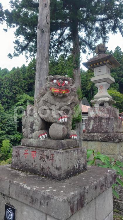中之嶽神社の狛犬 群馬県,中之嶽神社,狛犬の写真素材