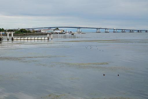 パワースポット　満月寺・浮御堂⑱　大橋　 滋賀県大津市,満月寺,浮御堂の写真素材
