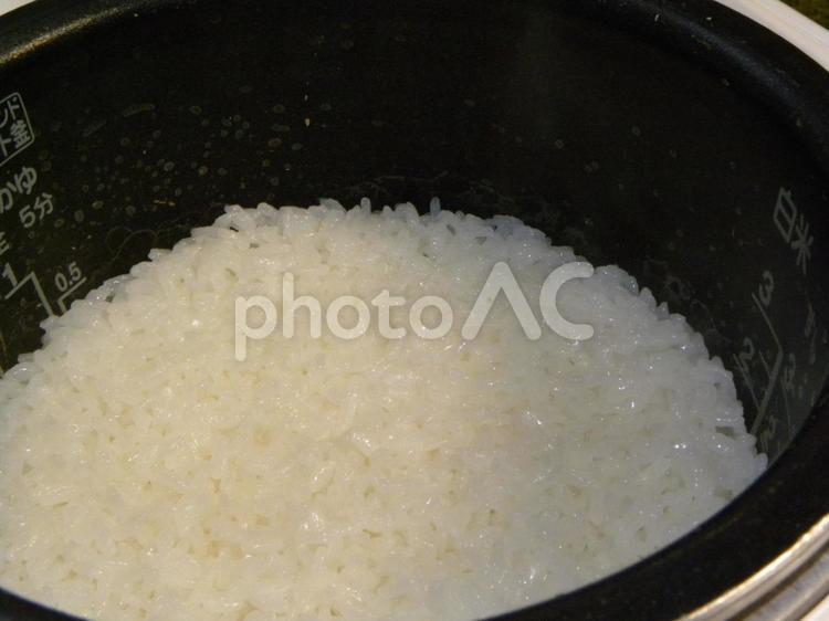 炊き立てごはん ごはん,ご飯,炊き立ての写真素材