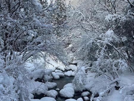 雪景色 雪景色 雪,景色,雪景色の写真素材