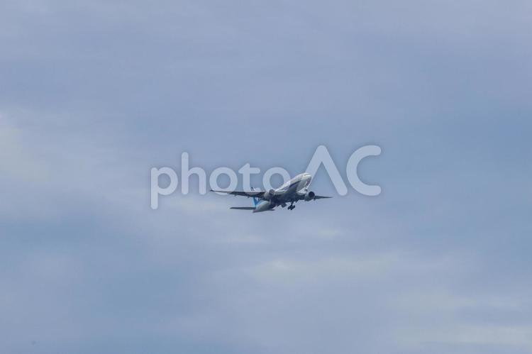 海と緑の上空を降下中 飛行機,航空機,旅客機の写真素材