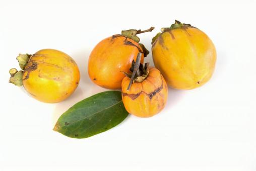 収穫した柿 柿,秋,渋柿の写真素材