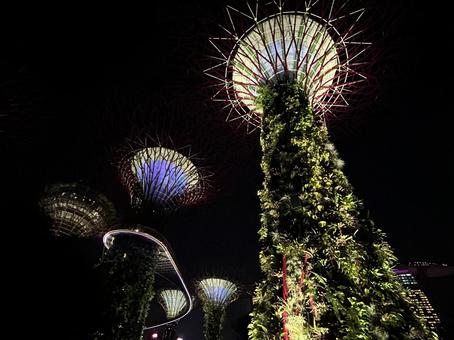 シンガポール ガーデンズバイザベイ シンガポール ガーデンズバイザベイ シンガポール,海外,ガーデンズバイザベイの写真素材