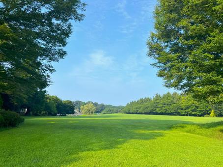 古河公方公園の風景 古河公方公園の風景の写真
