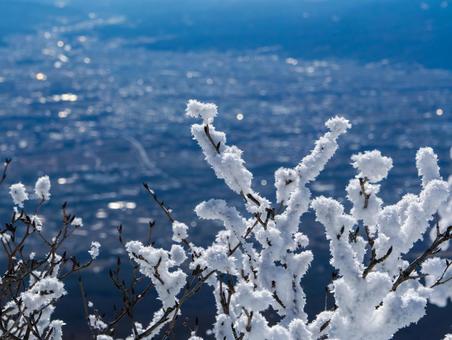 黒斑山の樹氷 黒斑山の樹氷 樹氷,浅間山,黒斑山の写真素材
