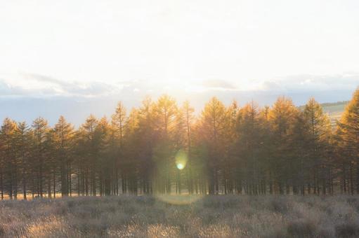ビーナスラインの秋 ビーナスライン,長野県,車山高原の写真素材