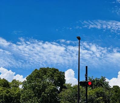 赤信号と空 赤信号と空 空,赤信号,景色の写真素材