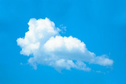 生き物に見える雲 背景,素材,作成の写真素材