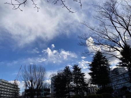 空 空の写真