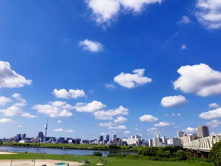 夏空 夏空の写真