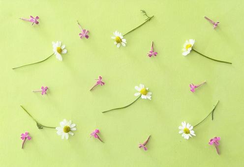Summer floral background material, JPG Summer floral background material, JPG