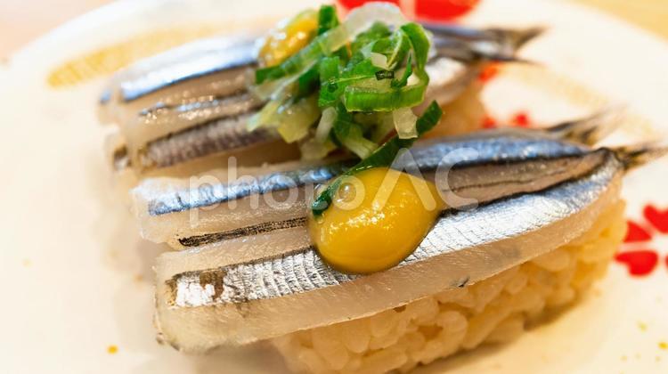 きびなごのにぎり寿司 寿司,きびなご,にぎり寿司の写真素材