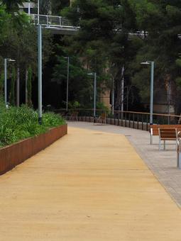 都市公園の曲がりくねった散歩道 都市公園の曲がりくねった散歩道 スペイン,バルセロナ,公園の写真素材