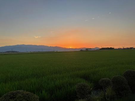 夕暮れ2 夕暮れ2の写真