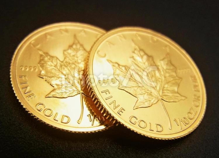 【金貨】カナダ　メープルリーフ　コイン　2枚B 金貨,金,メープル金貨の写真素材