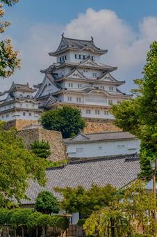 姫路城と夏空に映える白鷺の勇姿 姫路城と夏空に映える白鷺の勇姿 姫路城,日本の城,白鷺城の写真素材