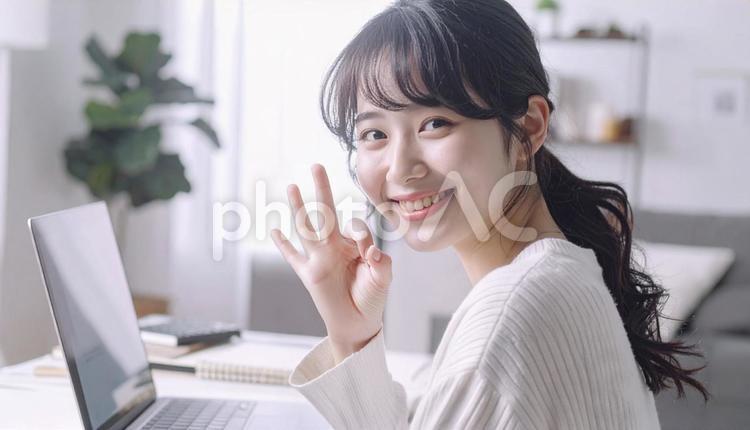 家計がうまくいきパソコンの前で微笑む女性 パソコン,家計簿,節約の写真素材